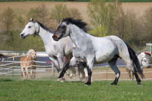 Staubfreie und bakterienfreie Luft