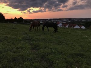 Sonnenuntergang in Mainburg